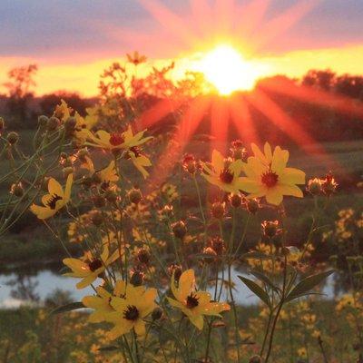 We were happy to help create a plan to manage storm water/runoff in this Johnson County Park.