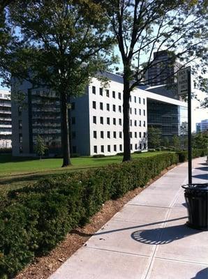 Albert Einstein College of Medicine of Yeshiva University