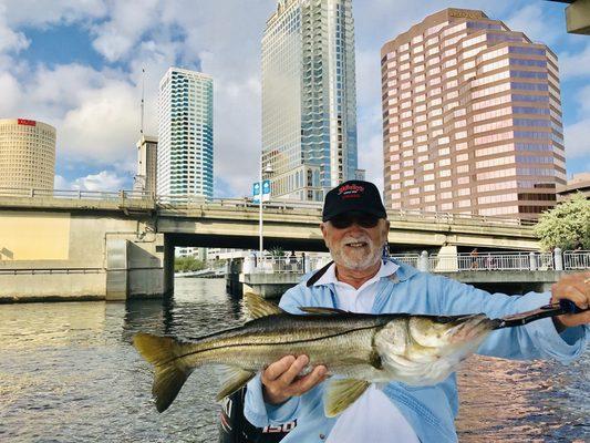 Downtown snook