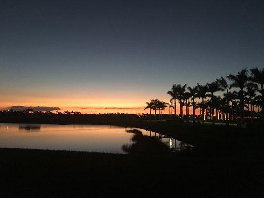 View of my old backyard