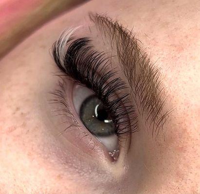 Lash extensions