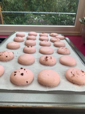 Shells for the strawberry macarons