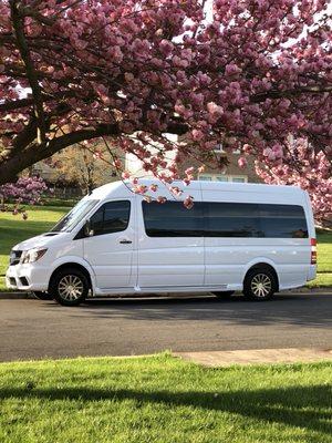 VANity Mobile Salon & Barbershop - 2017 Mercedes Benz Sprinter for all your styling and barbering needs with convenience