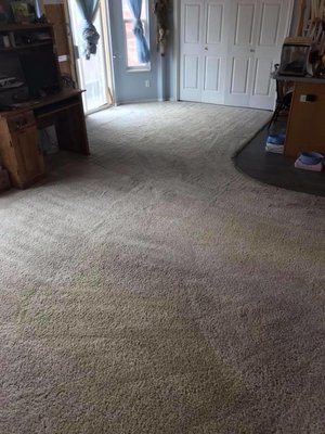 On The Spot Carpet Cleaner located in Pleasant Grove Utah serves Salt Lake City, South Jordan, Herriman, Sandy, Murray, and T...