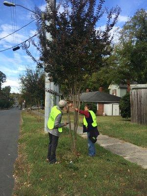 Tree Keeper Pruning Workshop