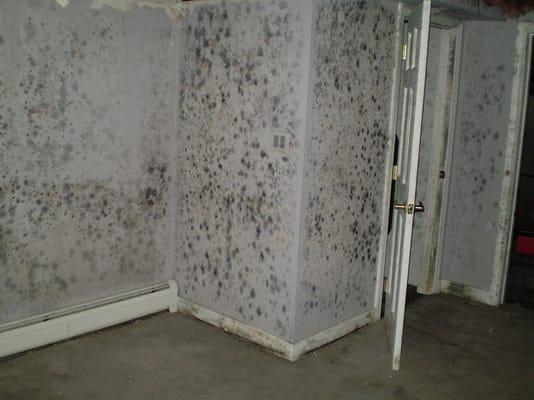 Mold Removal Woodward OK