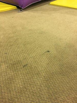 Dirty carpets