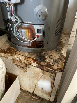 Water heater leak causing mold damage