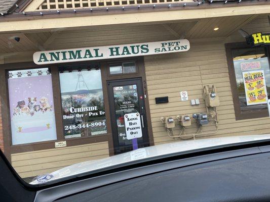 Animal Haus