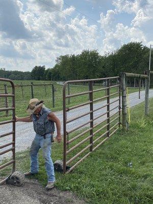 Three Paws closing field gate