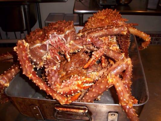 Live alaskan King crab imported directly from the boat, retail at wholesale price.