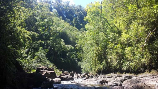 The beautiful Hamakua coast.