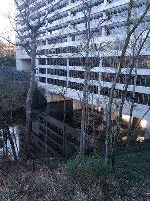 The building and its reflection look connected here, extending into the watery deep.