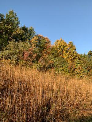 Heritage Greenway Bridge and Trail