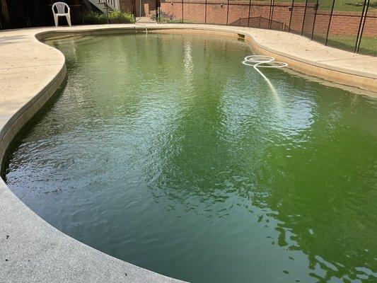 Green pool