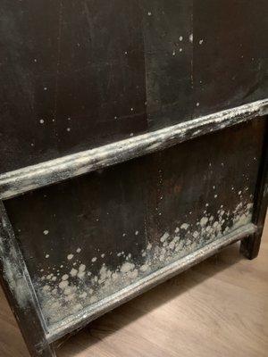 Mold on the back of a cabinet