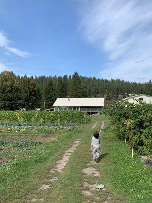 A view of the farm.