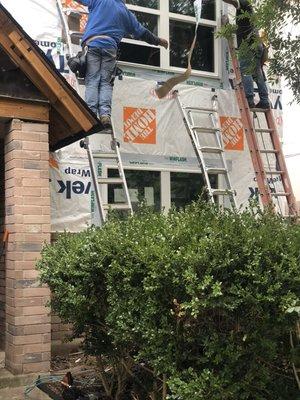 Prepping the walls before installing siding!