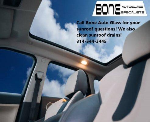 Bone Auto Glass