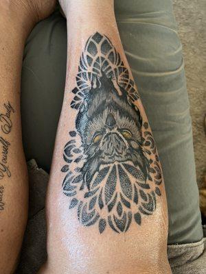 Geometrical with Black owl and yellow eyes