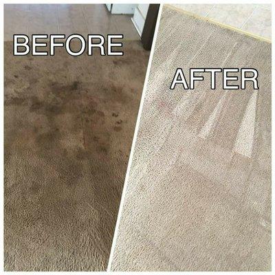 NubeCo Carpet Cleaning