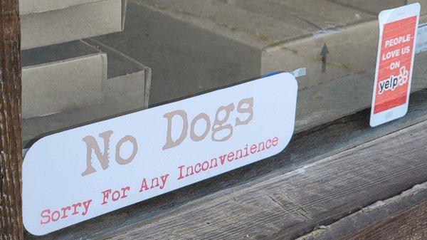 No dogs allowed, even on the patio.