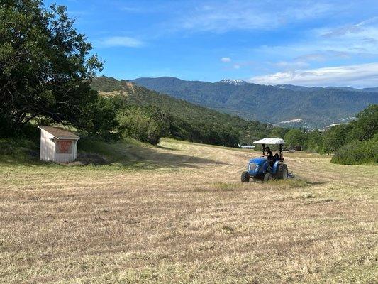 Southern Oregon Field Mowing