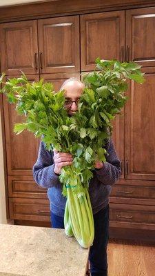 Look at the size of the bunch of celery from Next Generation Organics!  Wowza! Beautiful fresh leaves too.