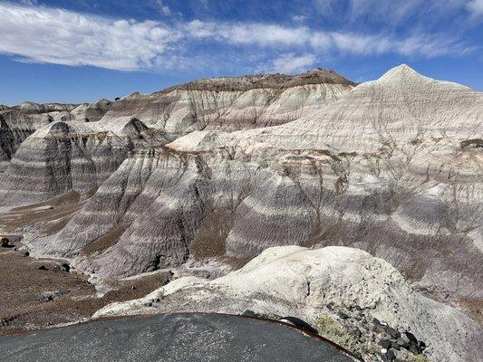 The Badlands- in the Petrified National Forest