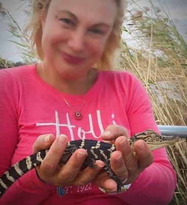 Baby crocodile