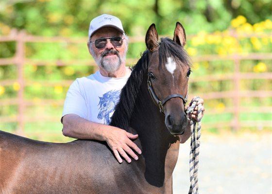 Denlore Morgan Horse Farm