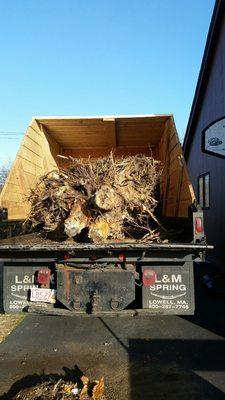 Stump Removal