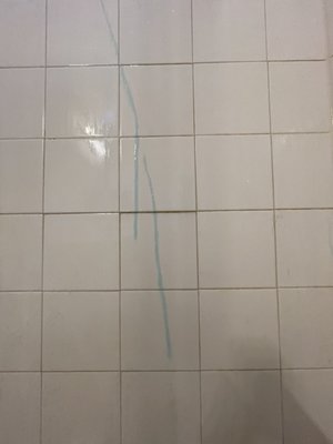 Dirty shower wall