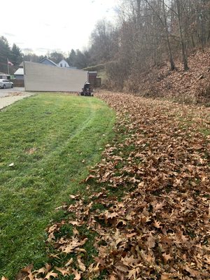 Leaf clean up 2020