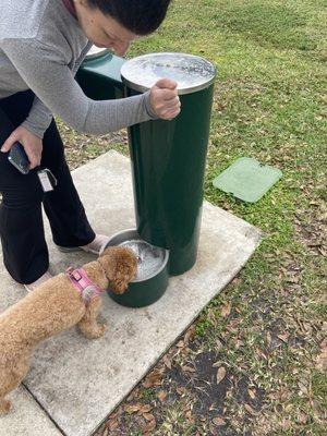 Water fountain