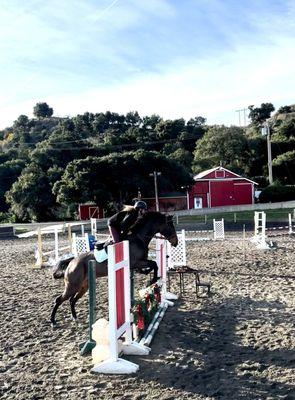 Our horse in the beautiful Oak Canyon Equestrian arena.