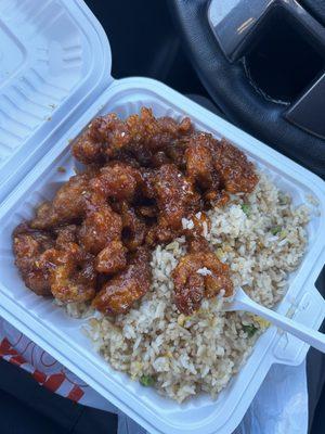 Sesame Chicken and fried rice