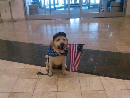 Woof  doing a  hospital visit