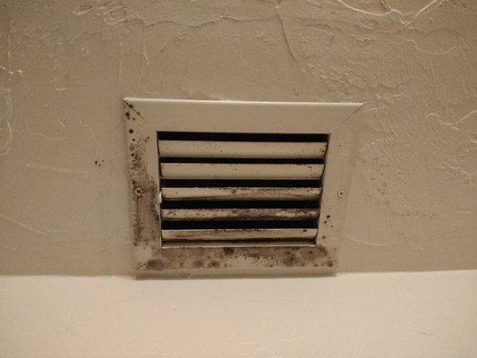 Mold at every vent