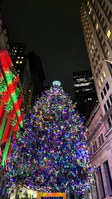 Christmas tree lights at night, December 2023