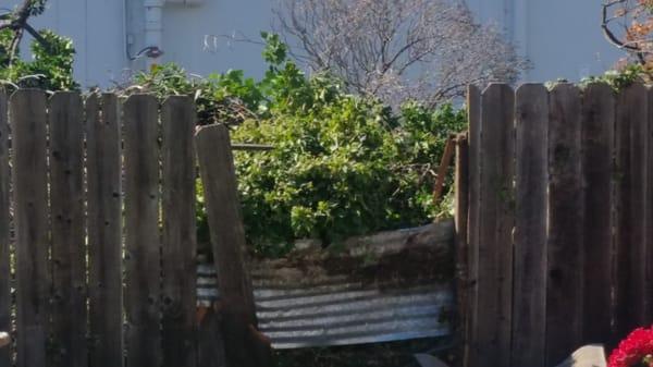 Pacheco brothers distroying my fence