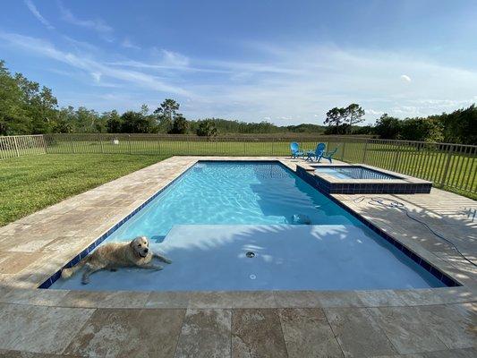 A dog and his pool...