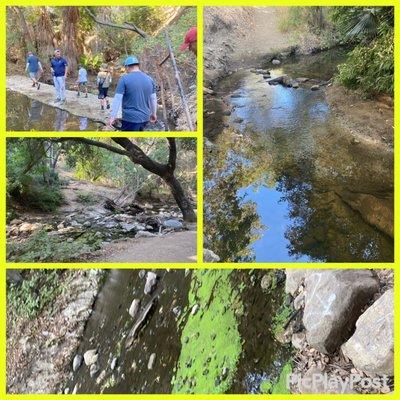 Walnut Creek trail