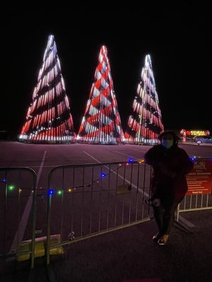 My boyfriend's mom loving the lights