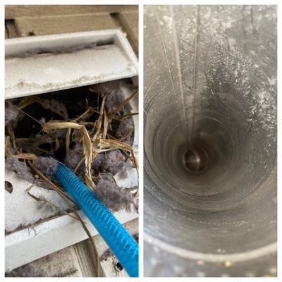 Have you seen birds in your dryer vent? Does it look something like this? Call today for $25 off dryer vent cleaning