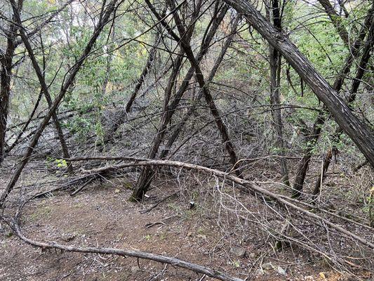 Gaines Creek Park