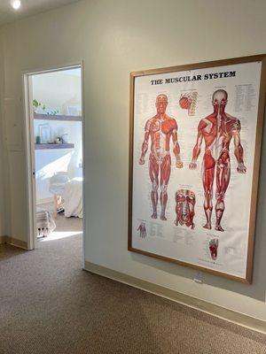 We understand the human body to give you the best possible care, and teach you along the way.