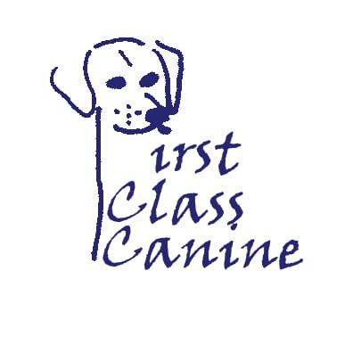 First Class Canine