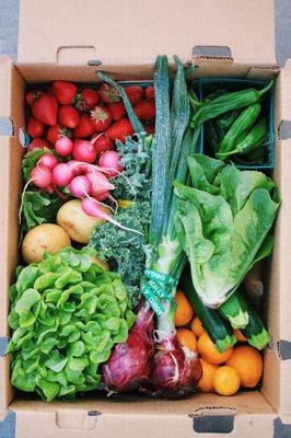 Farm Boxes start at just $12.25