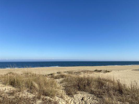 Sandbridge Beach